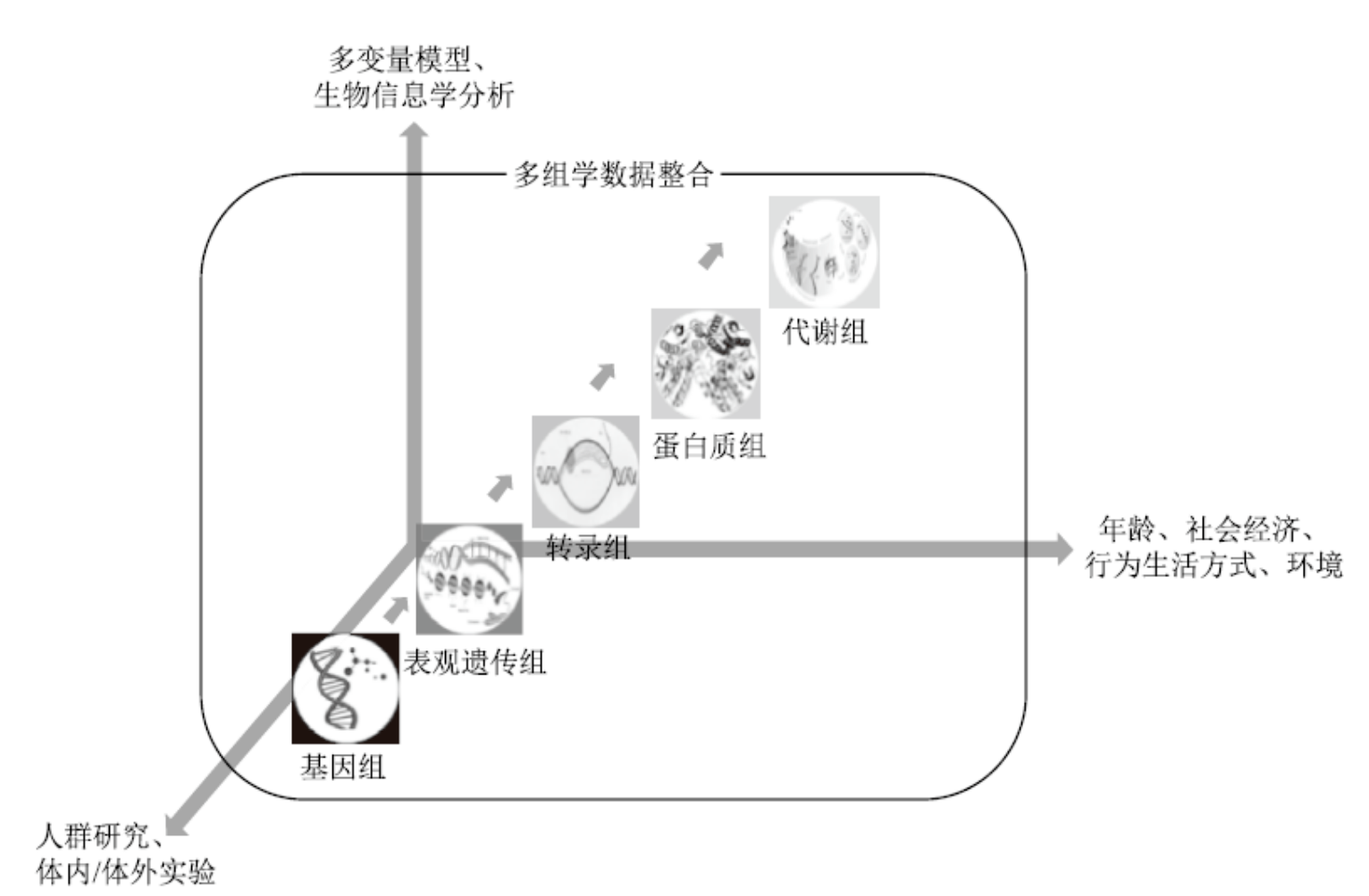 精準醫療 精準醫療